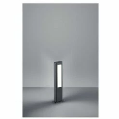 TRIO LIGHTING Potelet Rhine Anthracite 2x5W SMD LED H50 - MULTICOLOR